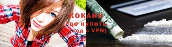 мяу мяу мука Дмитров