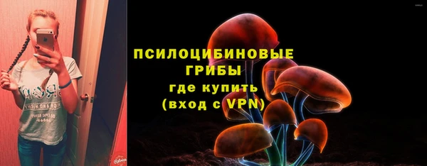 ALPHA PVP Дмитриев